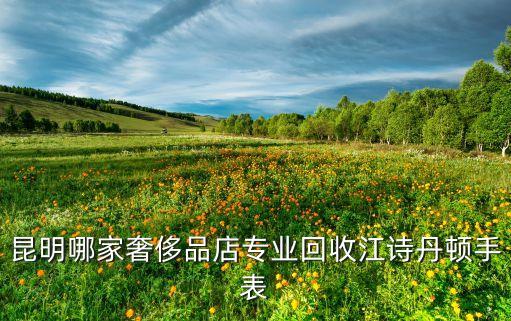 名表奢侈品回收，昆明哪家奢侈品店专业回收江诗丹顿手表