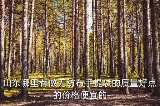 山东哪里有做无纺布手提袋的质量好点的价格便宜的