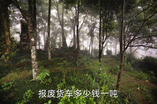 货车报废车回收价格表，报废货车多少钱一吨