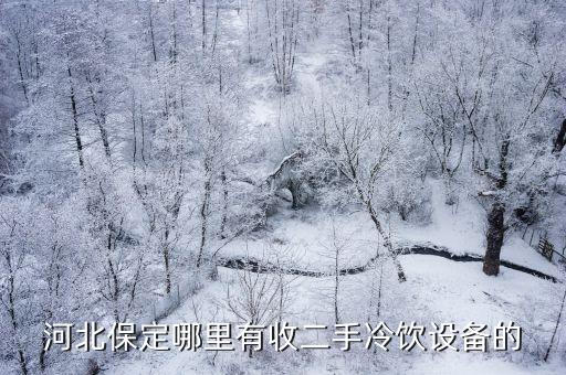 河北保定哪里有收二手冷饮设备的