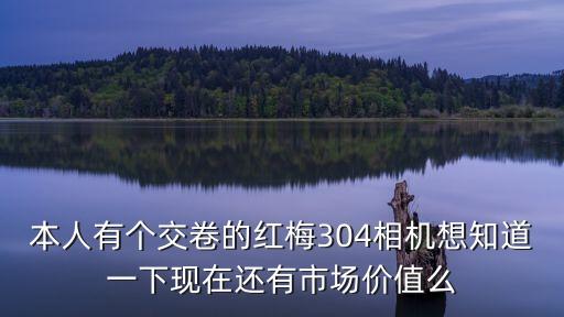 本人有个交卷的红梅304相机想知道一下现在还有市场价值么