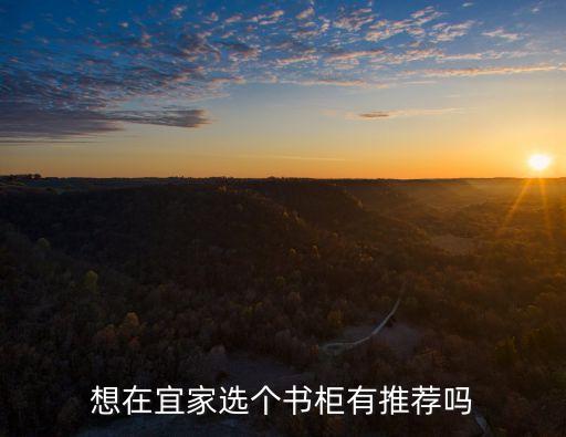 想在宜家选个书柜有推荐吗
