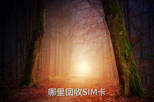 sim卡回收，哪里回收SIM卡