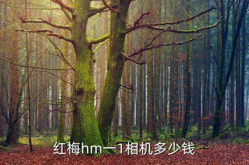 红梅hm一1相机多少钱