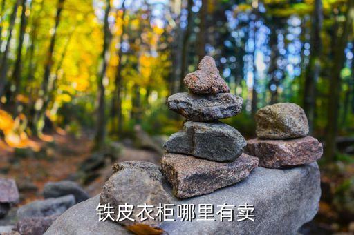 铁皮衣柜哪里有卖