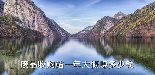 废品回收公司挣钱吗多少钱，废品收购站一年大概赚多少钱