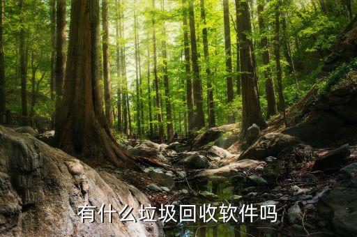 有什么垃圾回收软件吗