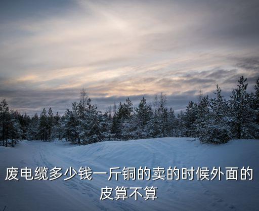 废电缆多少钱一斤铜的卖的时候外面的皮算不算