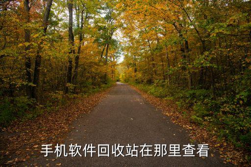 手机软件回收站在那里查看