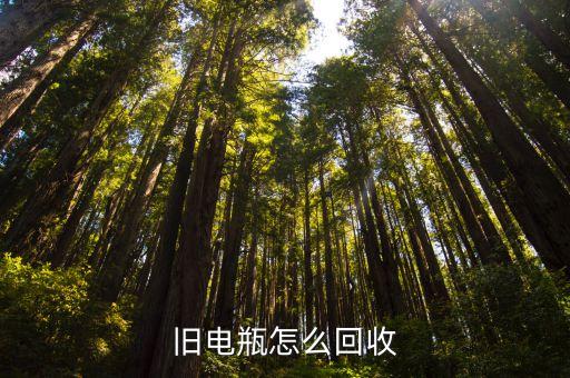 旧电瓶怎么回收