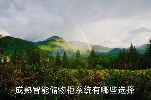 成熟智能储物柜系统有哪些选择