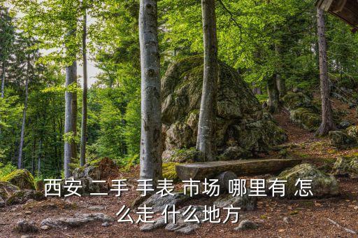 西安 二手 手表 市场 哪里有 怎么走 什么地方