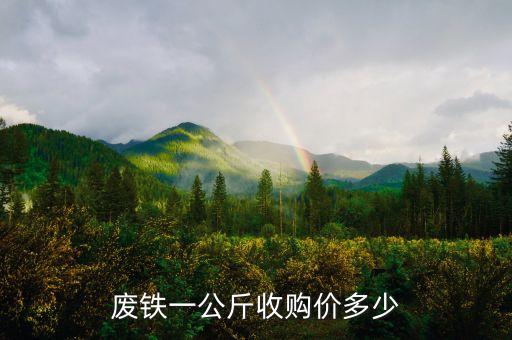 废铁回收多少钱一斤2022，废铁一公斤收购价多少