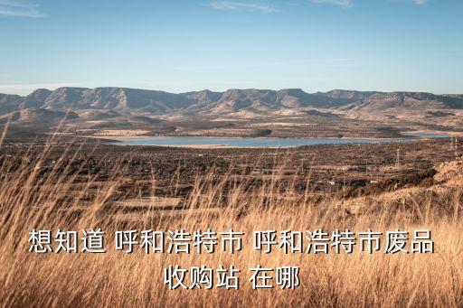 想知道 呼和浩特市 呼和浩特市废品收购站 在哪