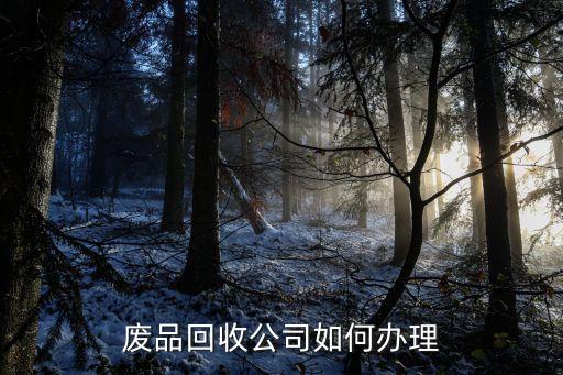 申请废品回收营业执照怎么写的，废旧物资回收公司的资质怎么写申请书