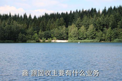 鑫 源回收主要有什么业务