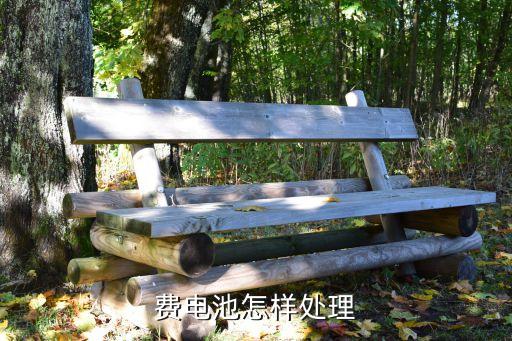 费电池怎样处理
