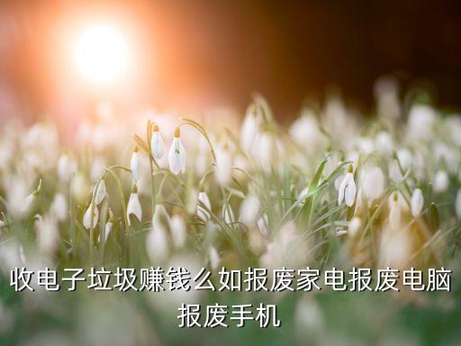 收电子垃圾赚钱么如报废家电报废电脑报废手机