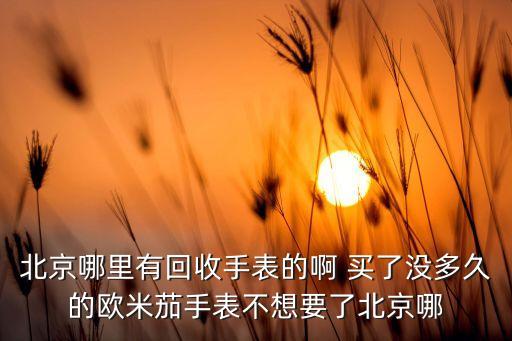 王府井手表回收，在北京王府井名表中心修了自己的艾米龙手表自己花钱换表壳 旧表