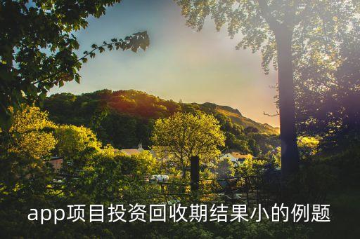 app项目投资回收期结果小的例题