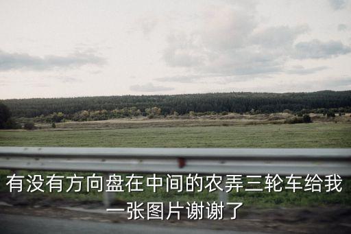 有没有方向盘在中间的农弄三轮车给我一张图片谢谢了