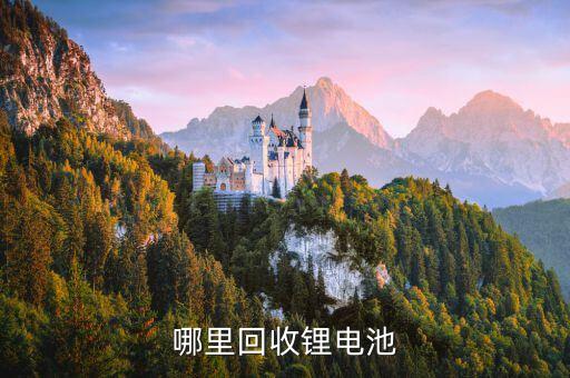 哪里回收锂电池