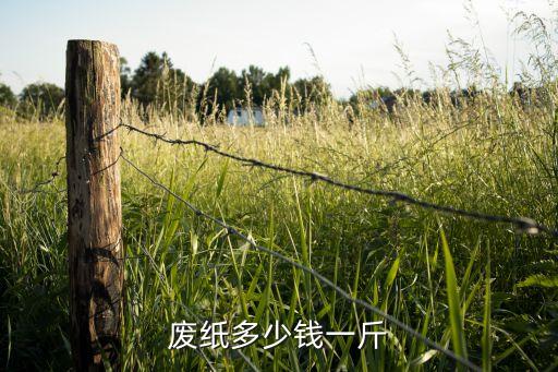 废纸多少钱一斤