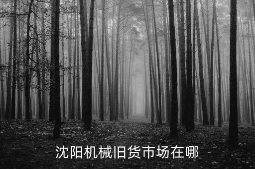 沈阳机械旧货市场在哪