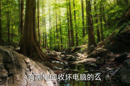有哪里回收坏电脑的么