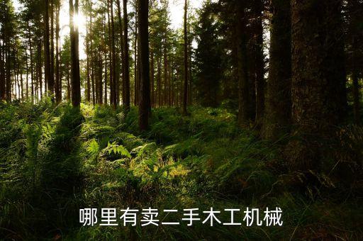 哪里有卖二手木工机械