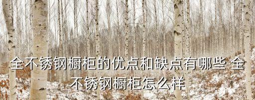 全不锈钢橱柜的优点和缺点有哪些 全不锈钢橱柜怎么样