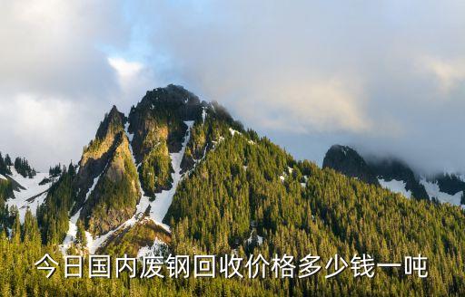 中国废品回收网每日报价查询，如何知晓每天的废旧电子报价