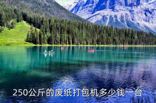 250公斤的废纸打包机多少钱一台