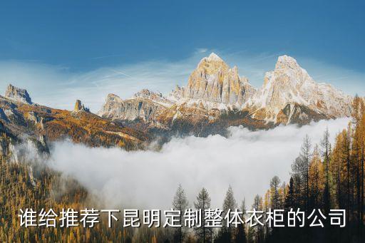 谁给推荐下昆明定制整体衣柜的公司