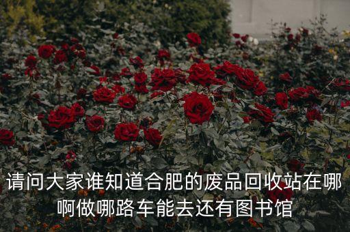 请问大家谁知道合肥的废品回收站在哪啊做哪路车能去还有图书馆