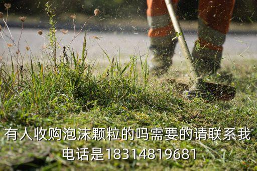 泡沫回收厂家电话，杭州地区哪有专收废旧包装泡沫的回收站或公司最好能提供详细地