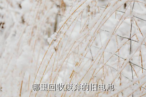 哪里回收废弃的旧电池