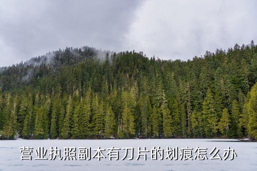 营业执照副本有刀片的划痕怎么办