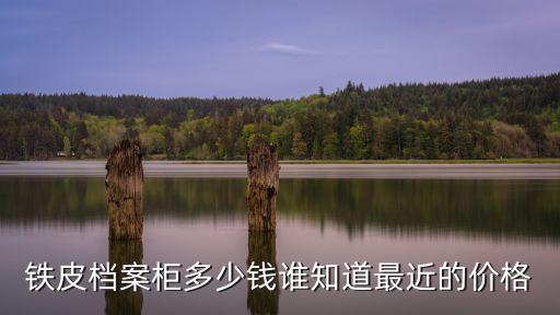 二手铁皮文件柜多少钱一台新的，旧货市场一个旧的铁皮卷柜多少钱知道的说说