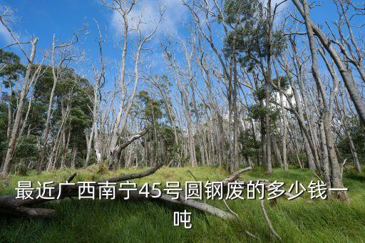 最近广西南宁45号圆钢废的多少钱一吨
