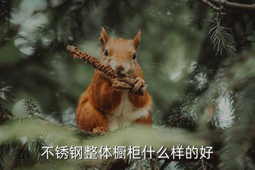 不锈钢整体橱柜什么样的好