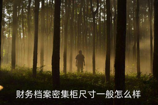 财务档案密集柜尺寸一般怎么样