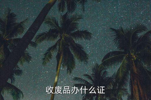 收废品办什么证