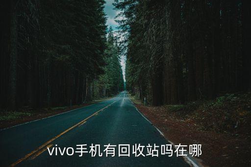 vivo回收站，vivo手机上回收站在哪里打开