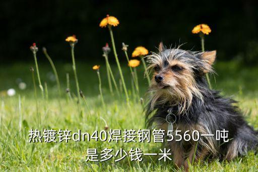 热镀锌dn40焊接钢管5560一吨是多少钱一米