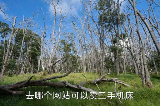 去哪个网站可以卖二手机床