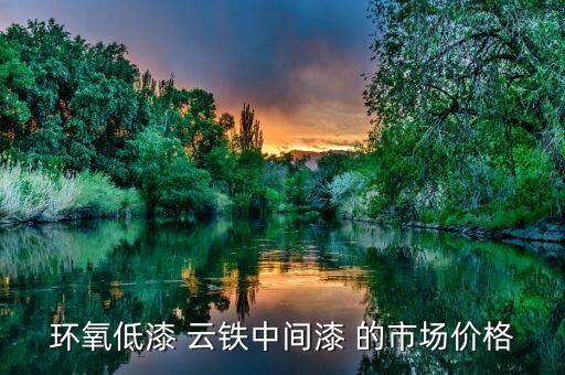 环氧低漆 云铁中间漆 的市场价格