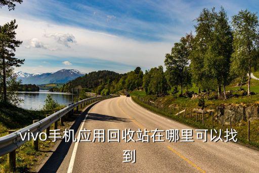 vivo手机应用回收站在哪里可以找到