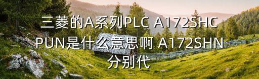 三菱的A系列PLC A172SHCPUN是什么意思啊 A172SHN分别代