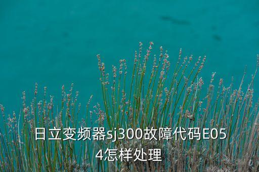 日立变频器sj300故障代码E054怎样处理